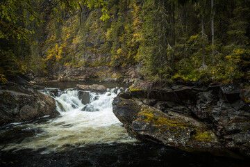Mountain river Gaula in norwegian autumnal forest.