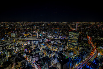 高所からの東京の夜景