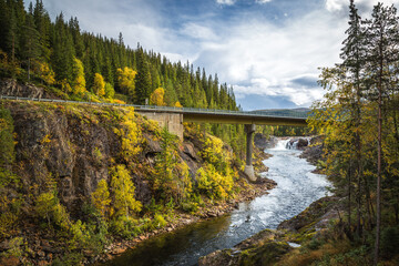 Mountain river Gaula and norwegian woodland area.