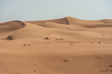 Fototapeta na wymiar sand desert in Dubai