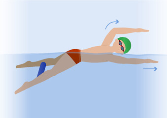 Swim crawl, face down and back - illustration