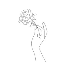 linear drawing hand holding flower, illustration by hand on white background