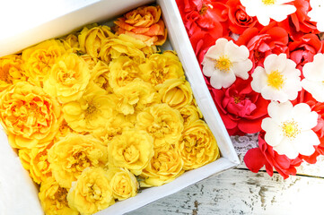 Obraz na płótnie Canvas Beautiful flower background, flowers in a paper box