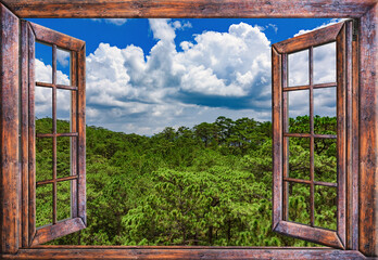 view from an open window to the jungle