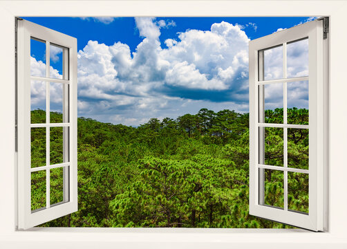 Fototapeta view from an open window to the jungle