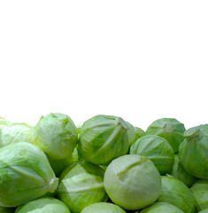 Banner with pile of Cabbage isolated on white background. Vegetables advertising. Grocery shopping. Fresh food. Healthy eating and lifestyle. Retail industry. Copy space. Supermarket  offer. Backdrop.