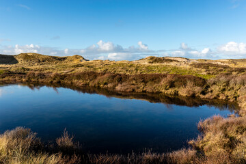 Dune landscape in Bergen aan Zee, Noord-Holland, The Netherlands, Europe