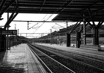 Estación de tren en blanco y negro