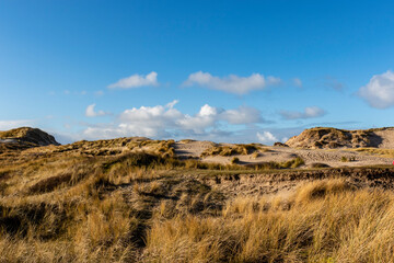 Dune landscape in Bergen aan Zee, Noord-Holland, The Netherlands, Europe