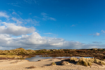 Dune landscape in Bergen aan Zee, Noord-Holland, The Netherlands, Europe