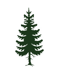 green leafy pine tree silhouette