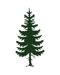 green leafy pine tree silhouette