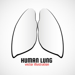 Human lungs with shadow on a white background. Medical concept, logo, symbol, icon, vector illustration