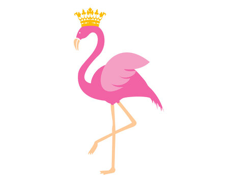 Download 2 734 Best Flamingo Clip Art Images Stock Photos Vectors Adobe Stock