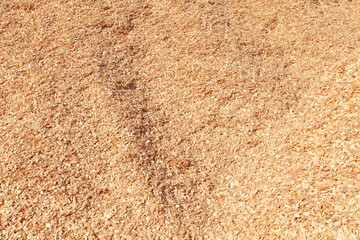 Background in the form of wood chips. Sawdust.