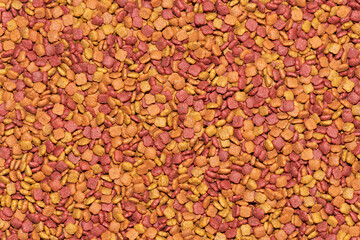 Cat food backgrounds. With fish, chicken, grain.