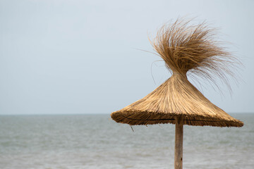 umbrella on the beach