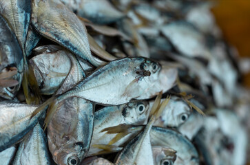 macro photo  of fresh fish at the market