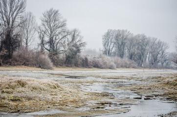 Obraz na płótnie Canvas The first snow over the tributary of the Danube near the city of Novi Sad, Serbia 
