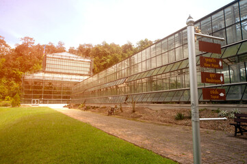 Greenhouse buildings used for cultivation in Northern of Thailand..