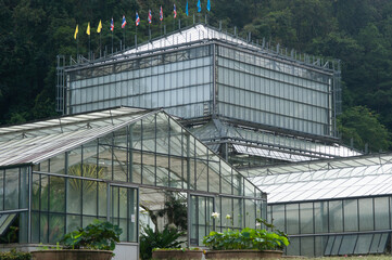 Greenhouse buildings used for cultivation in Northern of Thailand..