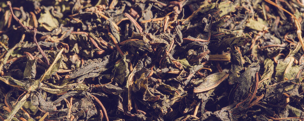 Dried green tea leaves background macro shot.
