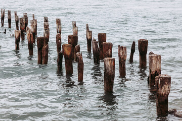 Old Pier. Puerto Natales, Chile