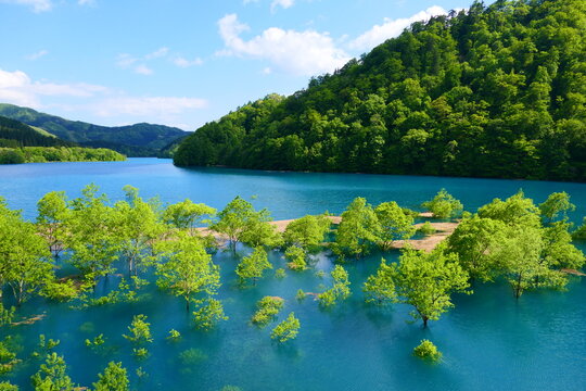 秋扇湖 Images Browse 116 Stock Photos Vectors And Video Adobe Stock