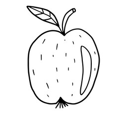 Cute hand drawn doodle big apple with leaf isolated on white background. Food or snack.