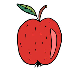 Cute hand drawn doodle big apple with leaf isolated on white background. Food or snack.