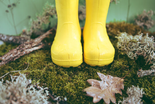 A pair of yellow rubber boots for children are standing on moss and dry leaves and tree bark.