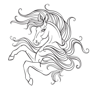 Unicorn vector contour illustration coloring book page