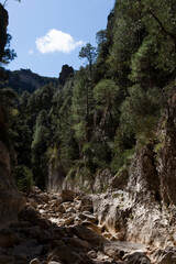 Los Ports Mountains natural park