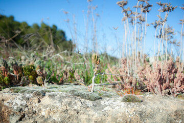 Dry Stone in Teruel province. Spain