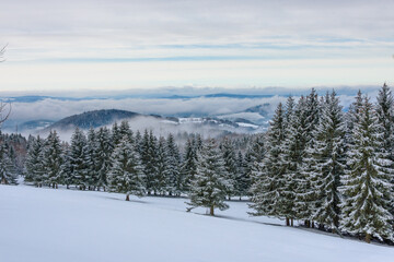 Fototapeta na wymiar Magische Winterland am Rennsteig, nahe Streut-Helmershof, im Thüringer Wald