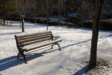 Snow-covered winter park and benches. 