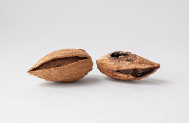Rotten spoiled almonds next to good almonds. The difference between a rotten and a good nut. Two nuts on a white background.