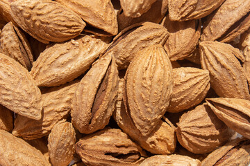 Fototapeta premium A bunch of almonds close-up. Salted fresh nuts in the shell. The texture of the almonds.