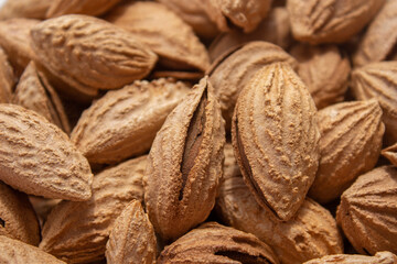 A bunch of almonds close-up. Salted fresh nuts in the shell. The texture of the almonds.