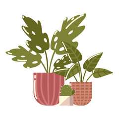 potted plants and cactus decoration, vector design