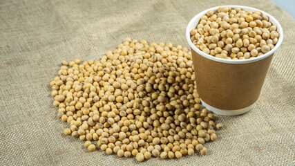 Soybeans in a paper bowl isolated on a white background  