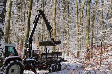Rückezug mit Ladekran beim Beladen des Rückeanhängers mit Stammholz © ReNi