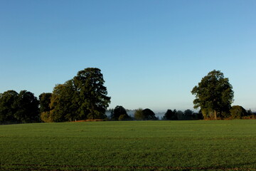 Landscape with fog, meadows in the foreground and trees at sunrise.