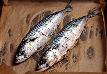Fresh mackerel. Whole raw seafood for grill or bbq. Delicious scomber fish for restaurant barbeque,...