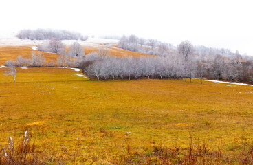 Fototapeta na wymiar Winter landscape, Bosnia and Herzegovina