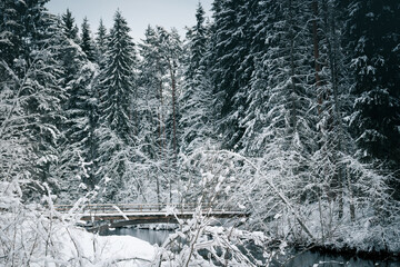 Taevaskoda and its nature in Estonian winter