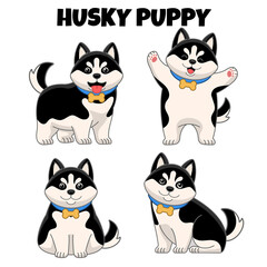 set of cute husky puppy dog