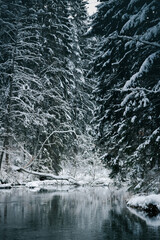 Taevaskoda and its nature in Estonian winter