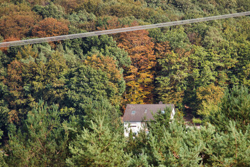 Powerline over a hose in the colorful trees of the Palatinate Forest of Germany.