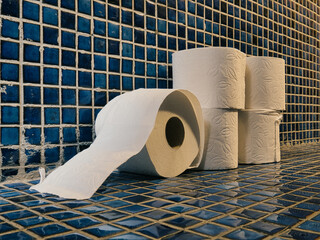 Five rolls of toilet paper on the floor of a toilet with blue tiles seen from the side